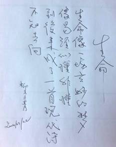 相片:生命