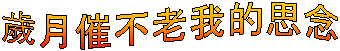 歲月催不老我的思念