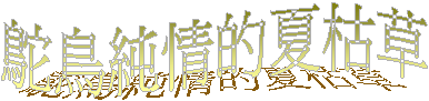 鴕鳥純情的夏枯草