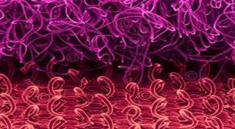 ANd9GcR-JtPxbybEX_6WmiWv1yugzFIVvDbPp-R90nl9eVGjlpDxMl2E_w