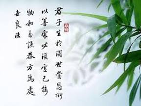 Image result for 竹子之貢獻